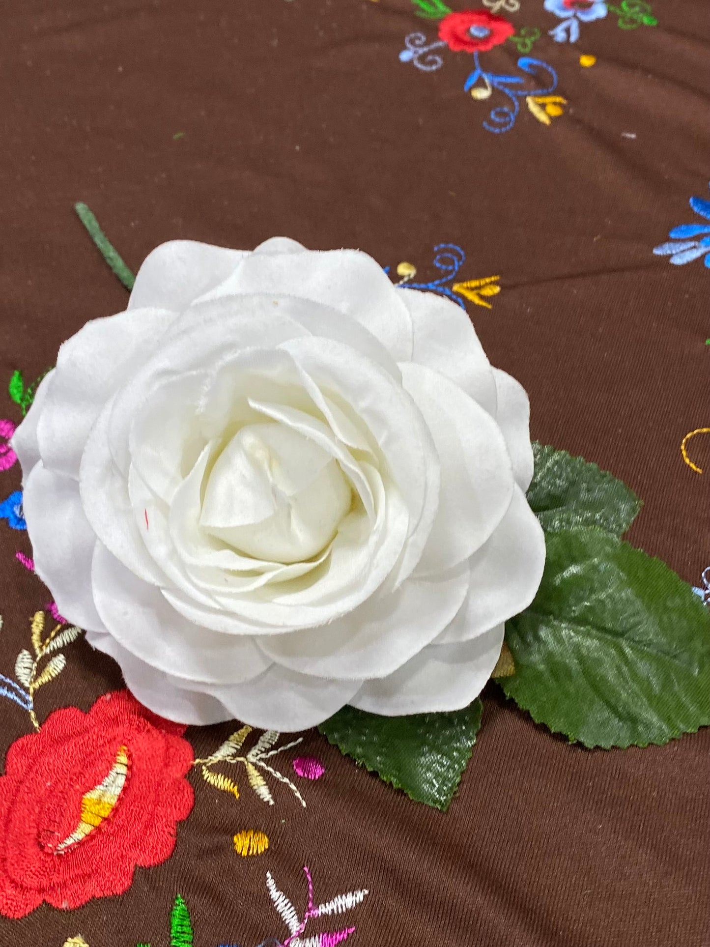 Rosa Blanca Mediana