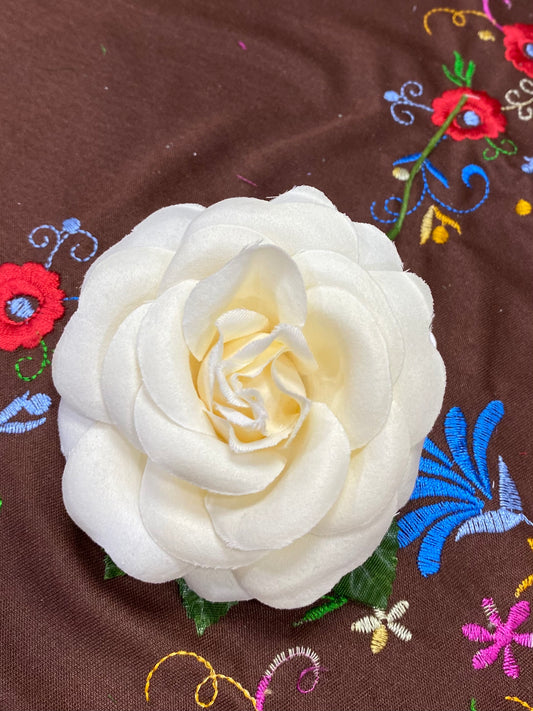Rosa Blanco Roto