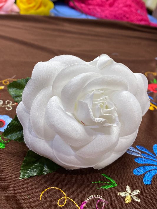Rosa Blanca